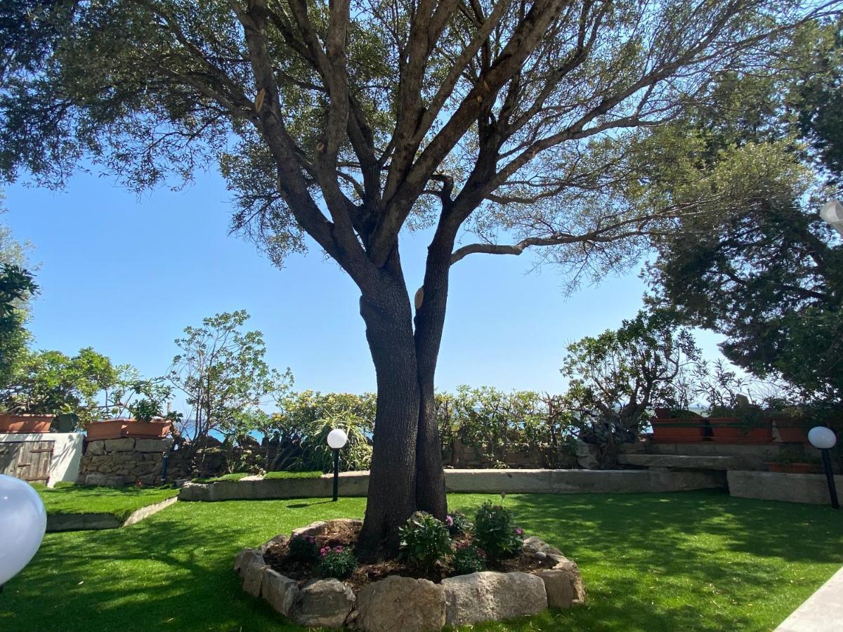 La Casa Sull'Acqua Villa Olbia Bagian luar foto